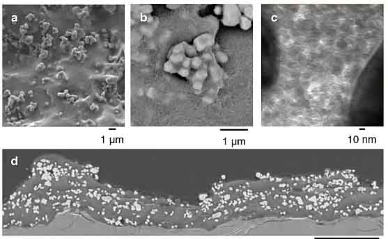 太陽(yáng)光催化分解水制氫取得“大”突破.jpg 太陽(yáng)光催化分解水制氫取得“大”突破.jpg
