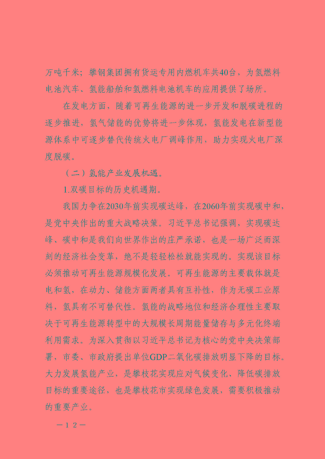 攀枝花市氫能產(chǎn)業(yè)示范城市發(fā)展規(guī)劃(2021-2030年)_頁(yè)面_12.jpg