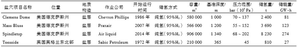 表1 傳統鹽穴項目.jpg